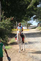 IMG_0858