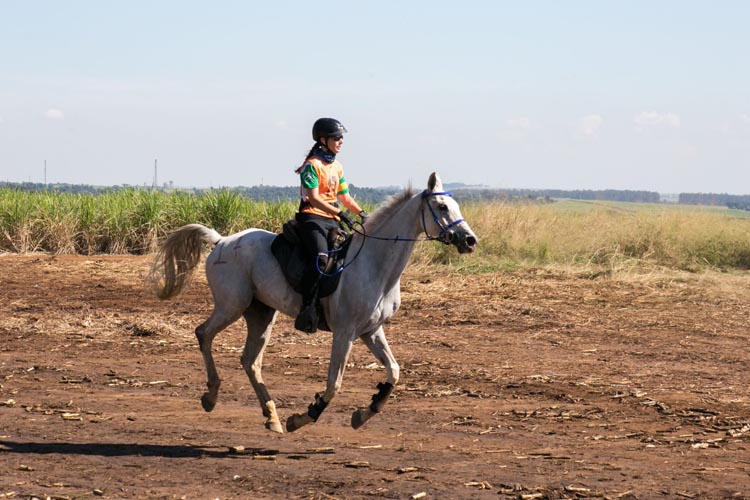 patricia-bicudo