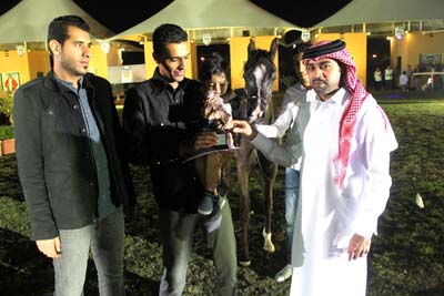 arabian horse show in Bahrain