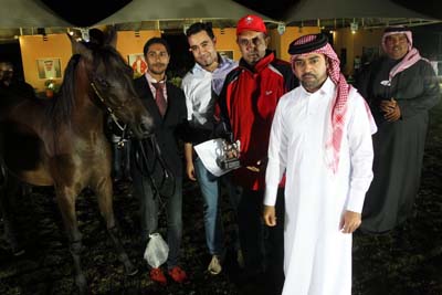 arabian horse show in Bahrain