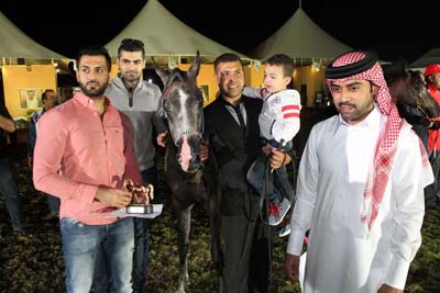 arabian horse show in Bahrain