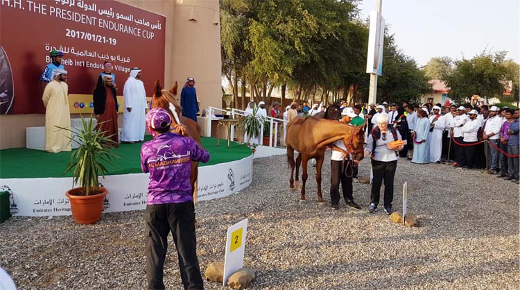 The horses are not only in the place of honor during the prize giving ceremonies, they are also given some carrots. Another way of recognizing them as partners.