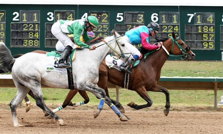 ETRES CHIC WINS FIRST WATHBA STUD FARM CUP HELD AT ARAPAHOE PARK