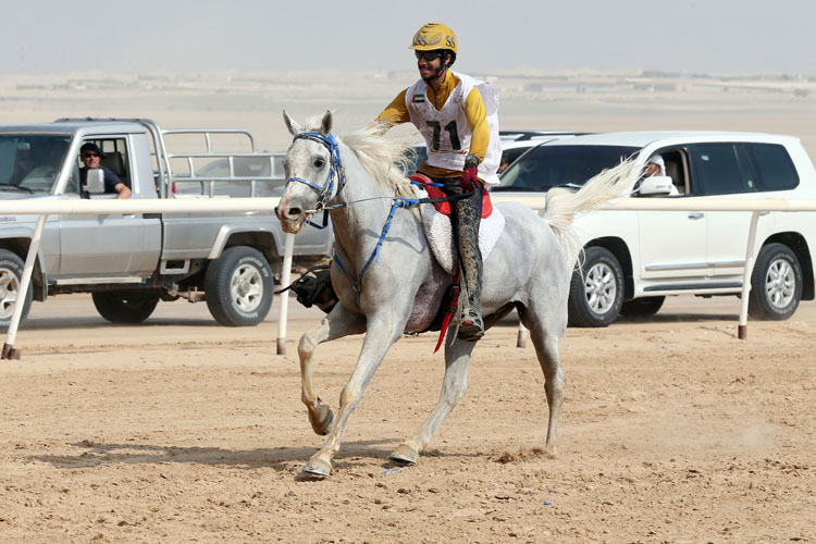 Saif Ahmed Al Mazrouei, astride Haroon