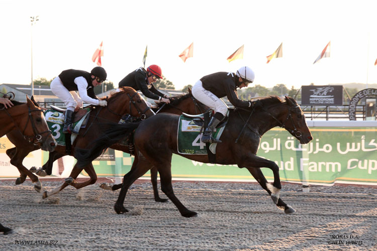 Nobas D.A ridden by Bart de Koninck