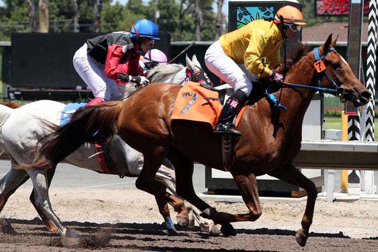 Sand On Fire under American jockey Sandee Martin