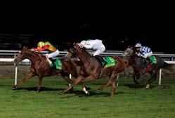 Karimah wins Zayed Cup in Toulouse