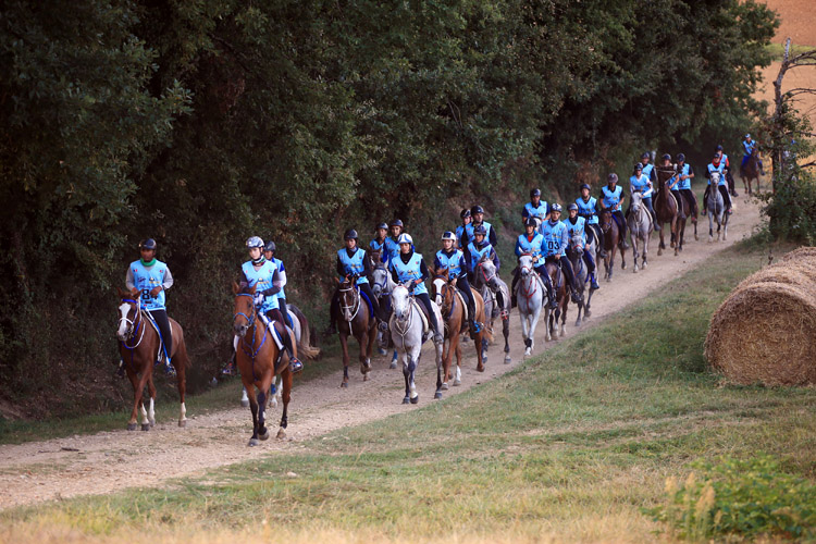Riders in Negrepelisse