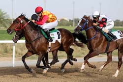 Al Mazrouei‘s Tha’Er wins final Wathba Cup at Al Ain racecourse