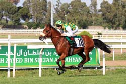 Ziyadd seen winning the Sheikh Zayed Bin Sultan Al Nahyan Cup (Listed) race at the Capanelle race course in Rome earlier this year
