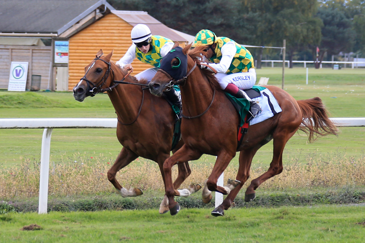 Thabit (right) and Mirna in a 1-2 finish for HH Sheikh Mansoor in Tarbes on October 16