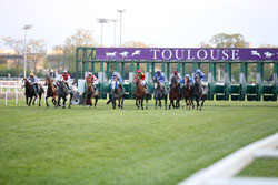 Preview for Sheikh Zayed and HH Sheikha Fatima races in Toulouse