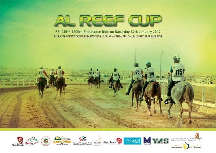 Al Reef Cup
