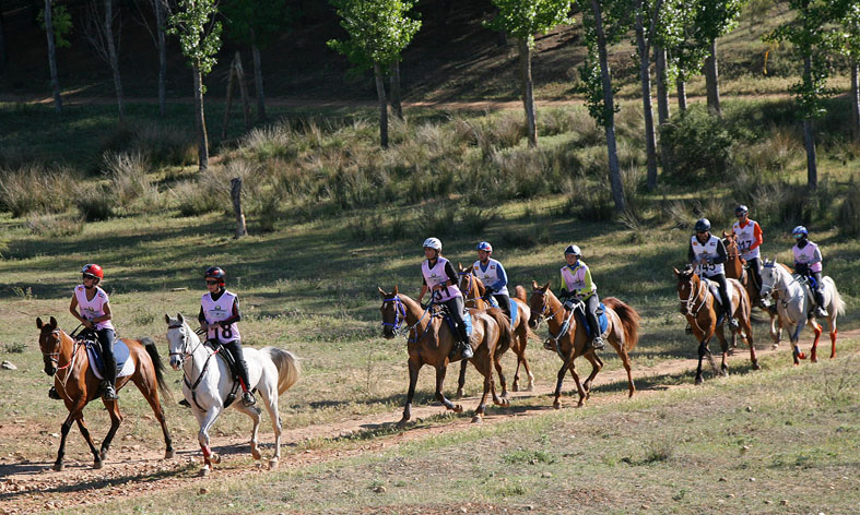 Lady riders in action in the Festival-supported endurance ride in Spain in May, 2017